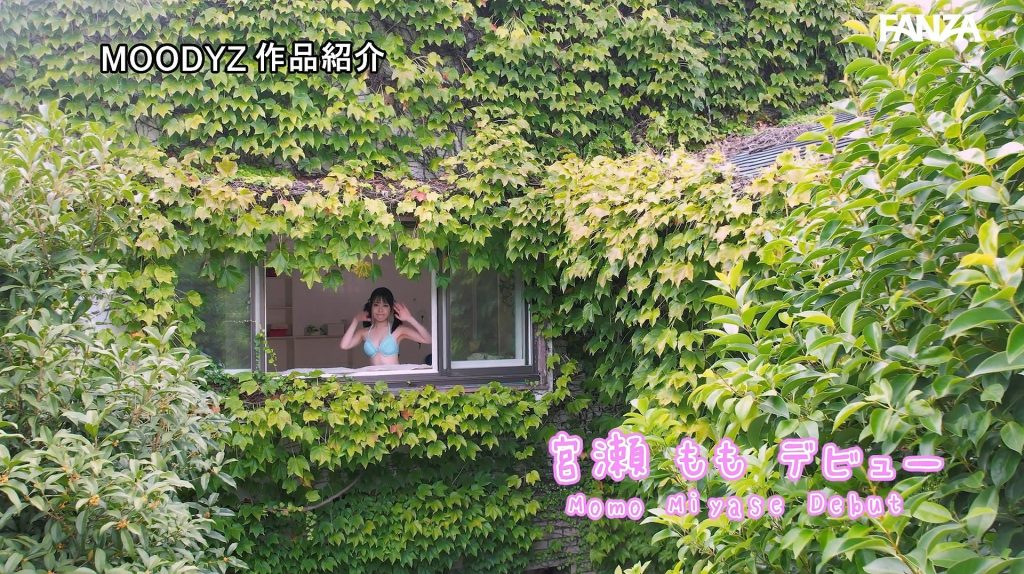 imgi 221 miyase momo 15408 064